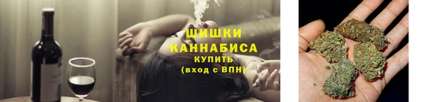 хмурый Горняк