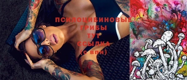 хмурый Горняк