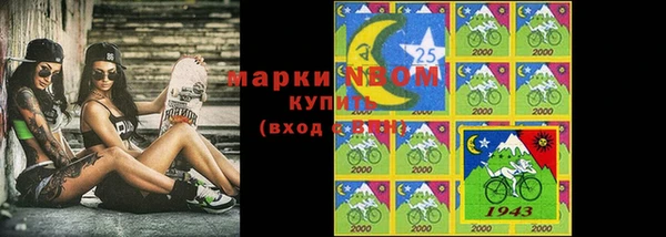 2c-b Горнозаводск