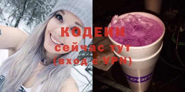 2c-b Горнозаводск