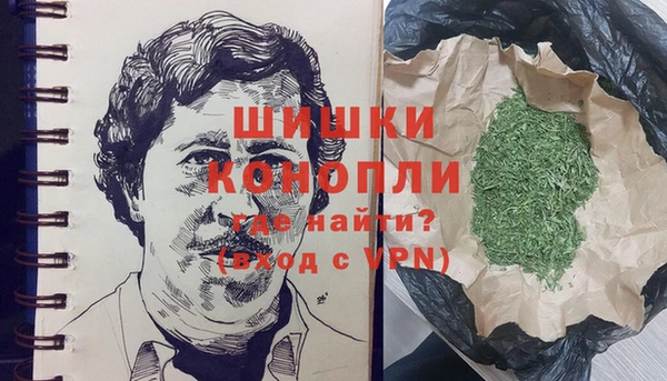 2c-b Горнозаводск